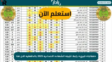 «مفاجأة كبرى» رابط نتيجة الشهادة الإعدادية 2025 بالدقهلية الآن هنا